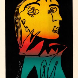 PICASSO EVERITHING - 1/4