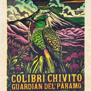 POSTAL COLIBRI CHIVITO