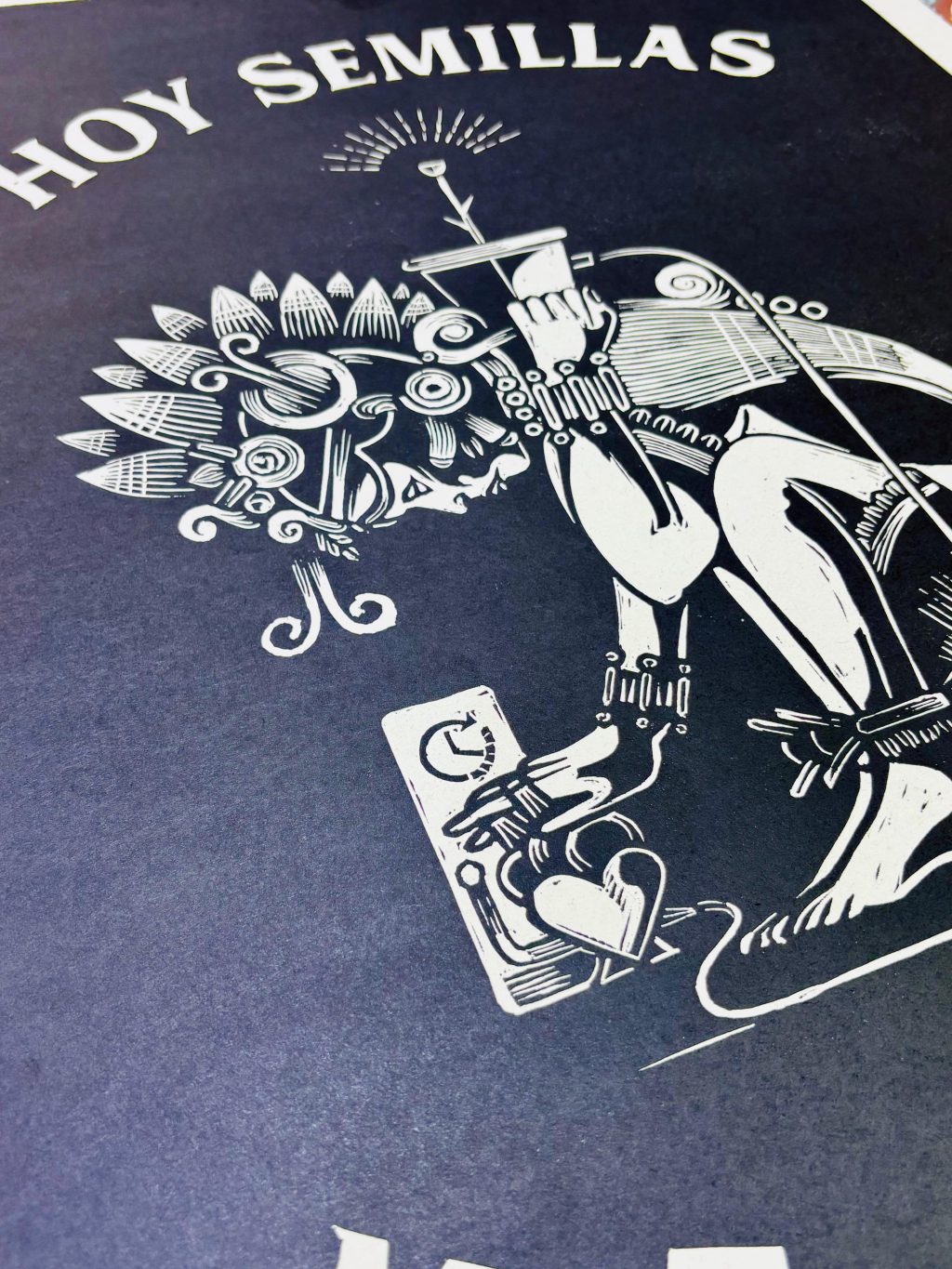 HOY SEMILLAS MAÑANA FLORES4