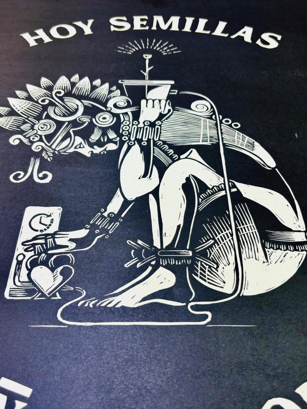 HOY SEMILLAS MAÑANA FLORES3