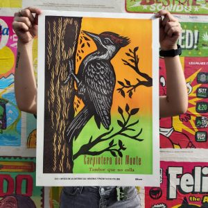 CARPINTERO DEL MONTE