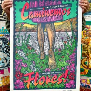CAMINEMOS  FLORES 1/2