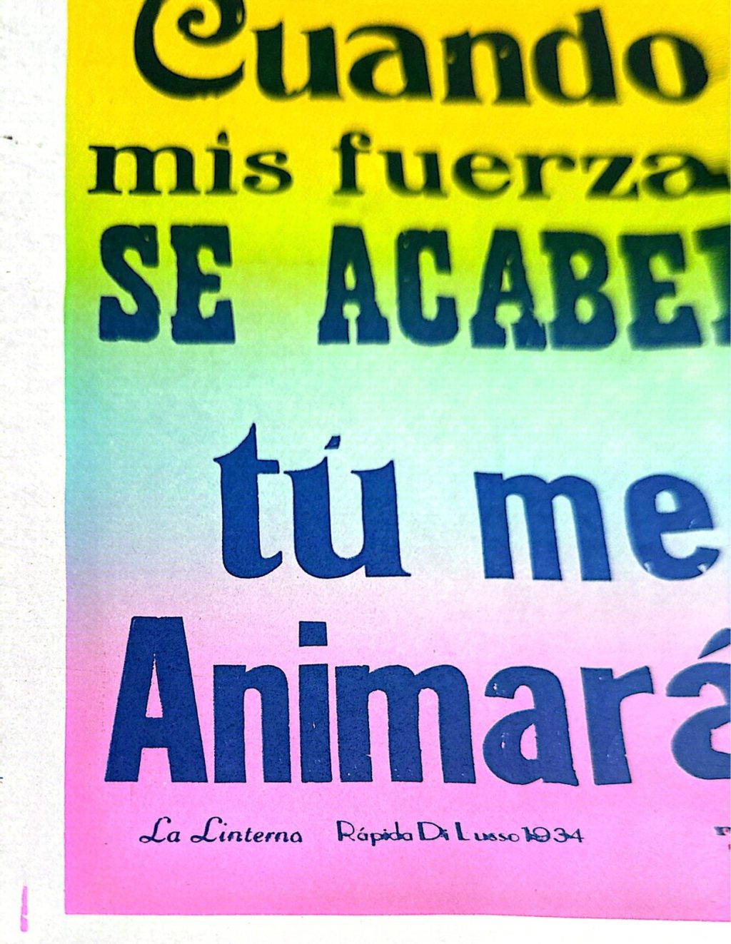 WhatsApp Image 2026-01-15 at 12.27.49 PM (1)