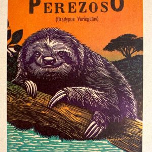 POSTAL OSO PEREZOSO