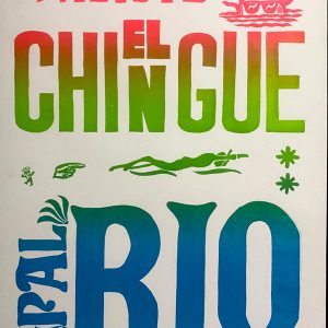 ALISTE EL CHINGUE 1/4