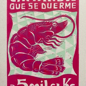 POSTAL CAMARÓN QUE SE DUERME