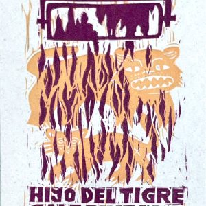 POSTAL HIJO DE TIGRE SALE PINTADO