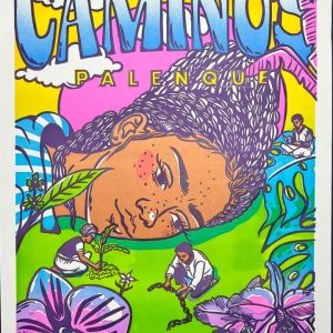 ABRIENDO CAMINOS - KILELE 2026 1/2