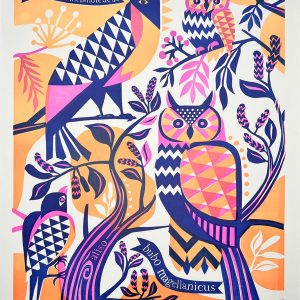 ANDES CENTRAL / TINTA JAGUAR CHILE / TOMAS IVES / 1/2
