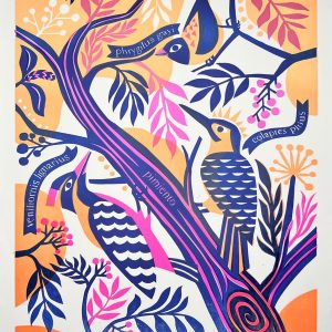 ANDES SUR / TINTA JAGUAR CHILE / TOMAS IVES / 1/2