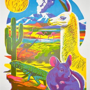 NORTE / TINTA JAGUAR CHILE/ VARCO / 1/2